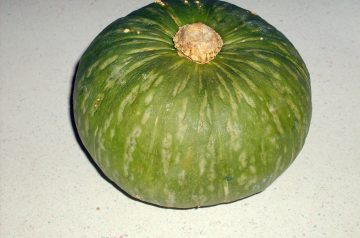 Kabocha Squash With Sage and Leeks