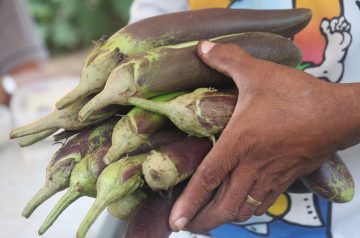 Garden Eggplant Pizza