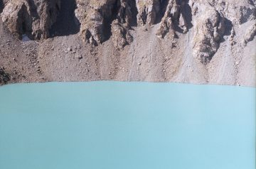 Chicken Ala King in 30 Minutes