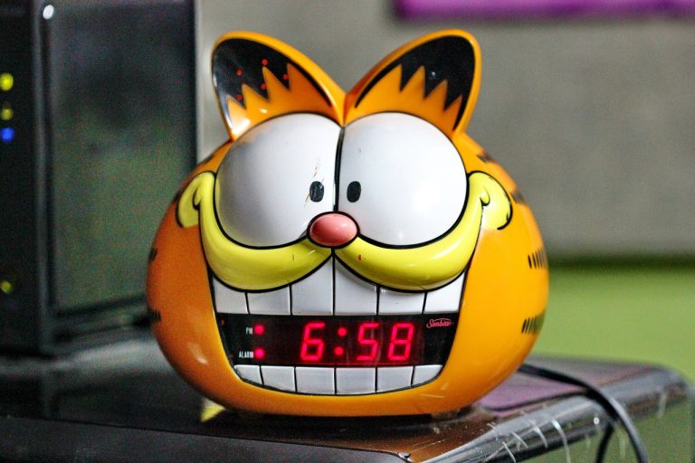 Garfield's Lasagna
