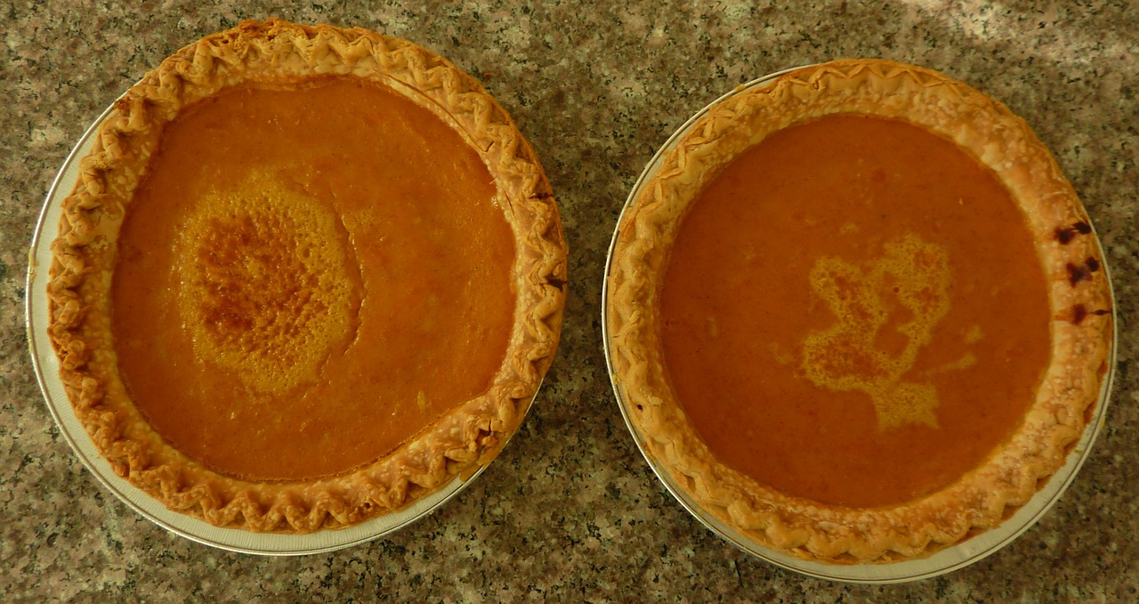 Alton Brown's Yogurt Pumpkin Pie