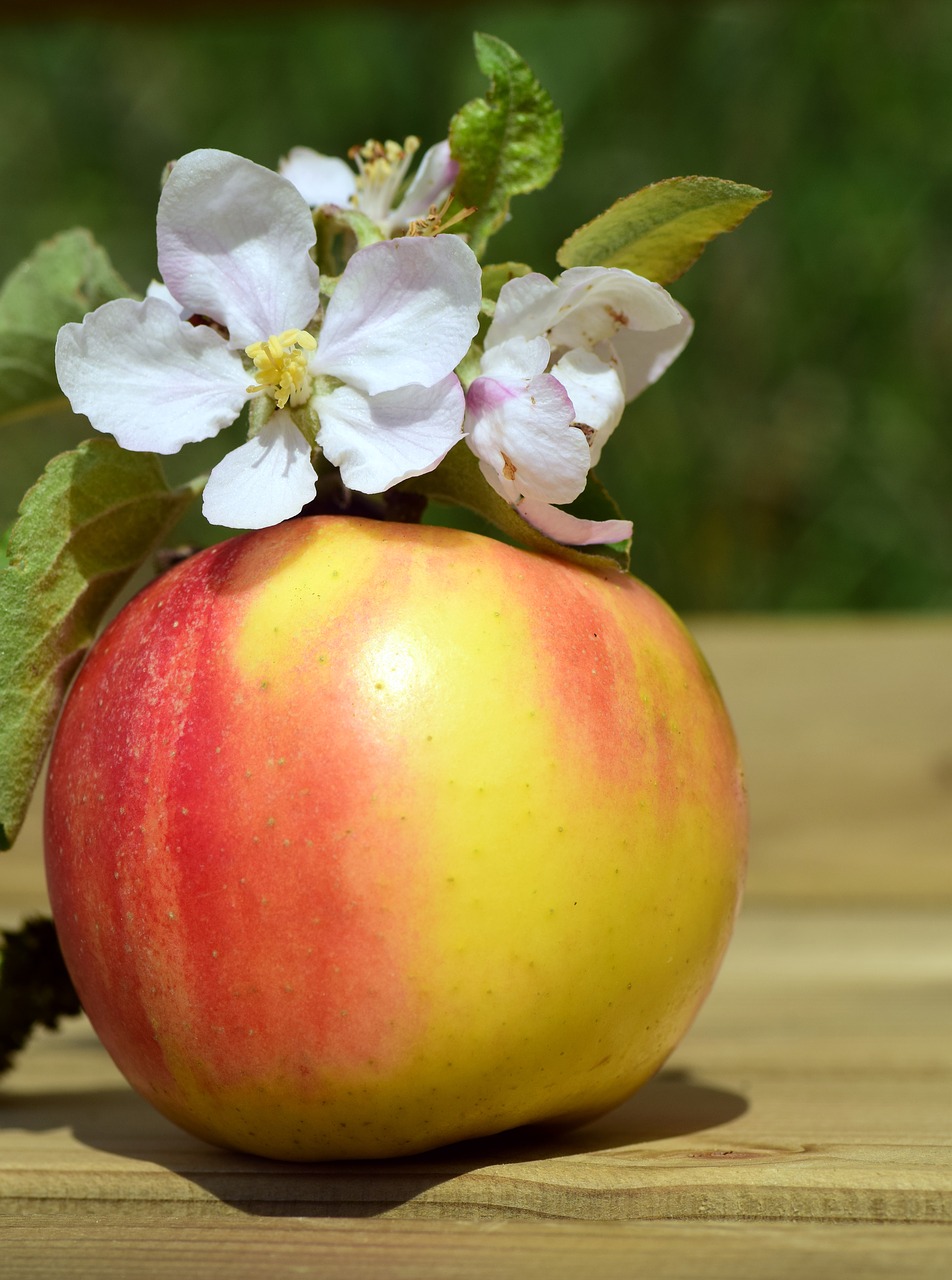 Fruity Apple Rings