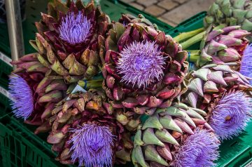 Artichoke Risotto