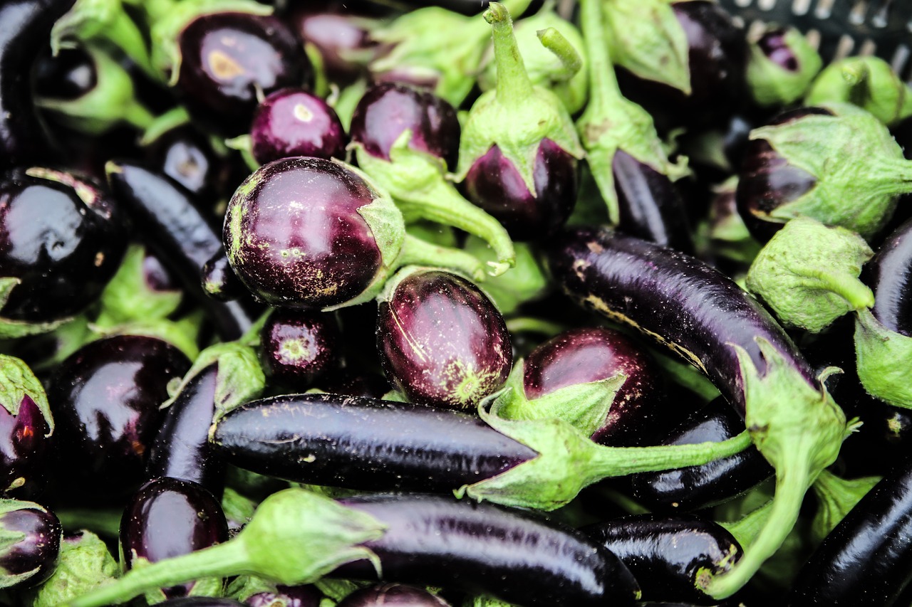 Aubergine (Eggplant) and Broccoli Laksa
