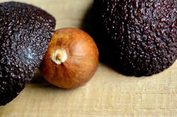 Avocado With Groundnut Dressing