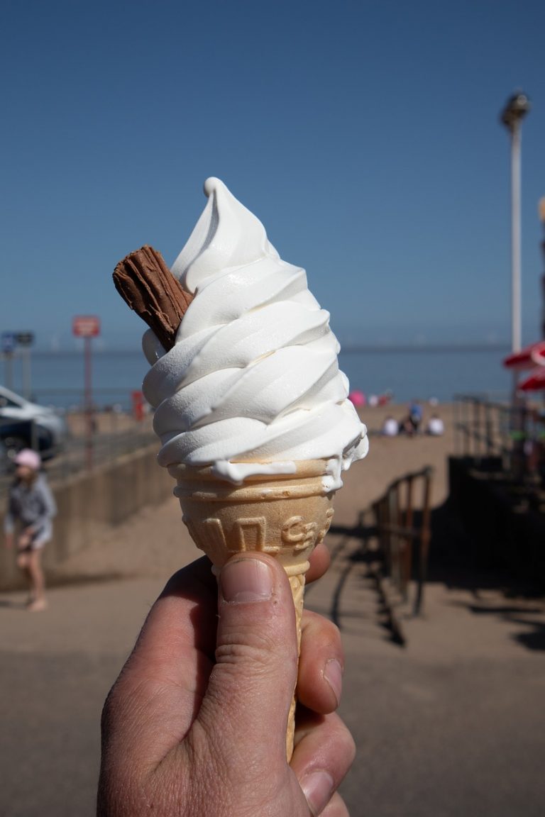 Awesome and Easy Non Dairy Ice Cream