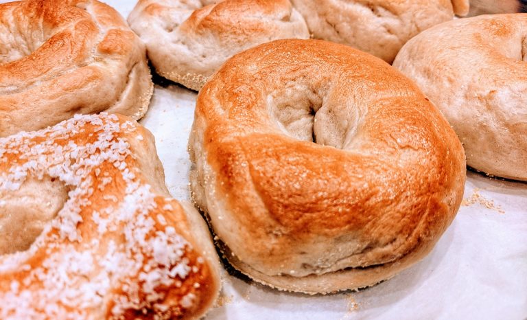 Beagle Bagels (Canine)