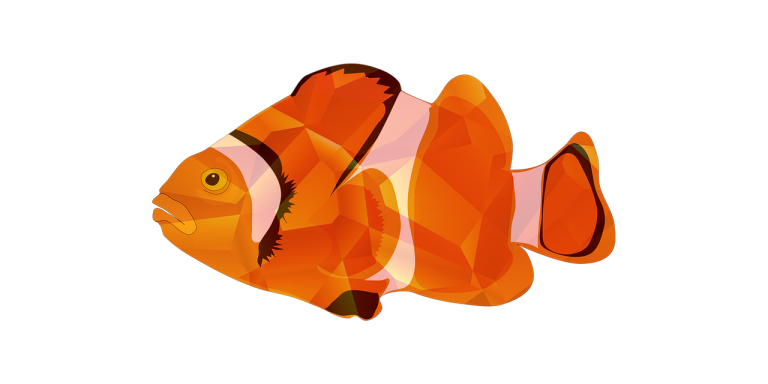 Baked Fish