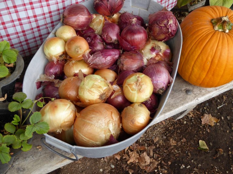 Baked Honey Onions