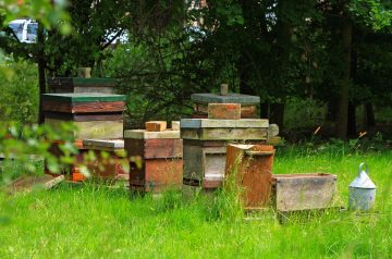 Beehives