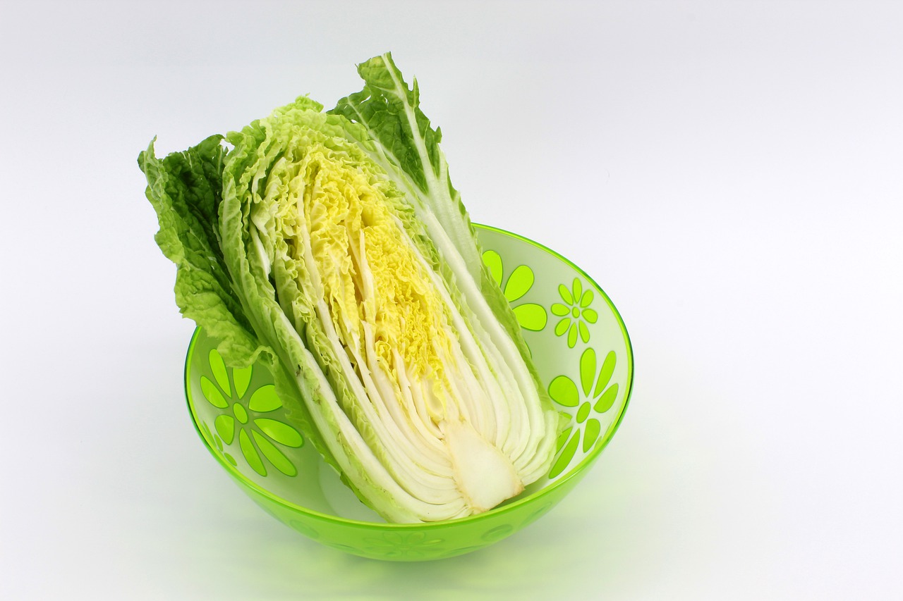 Chinese Napa Cabbage Salad With Grilled Flank Steak