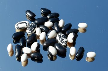 Black Bean Chicken Appetizer