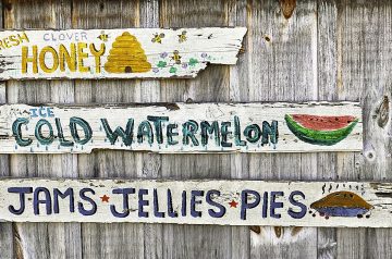 Blueberry and Apple Pie