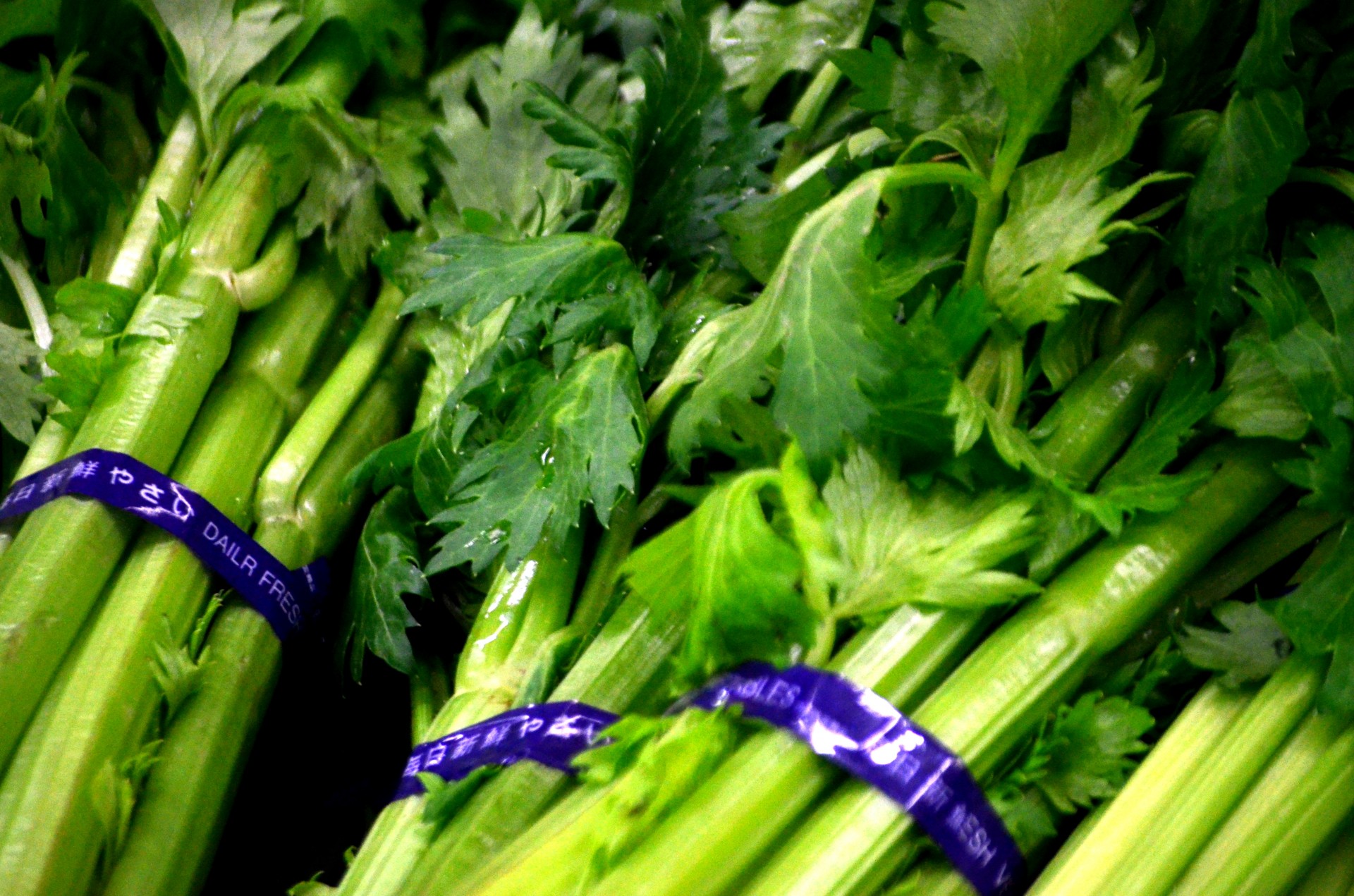 Braised Celery