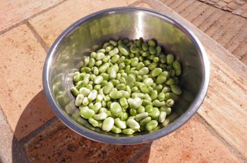 Chicken Casserole With Tomatoes and Lima (Broad) Beans