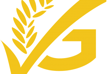 Broccoli Chicken Dish