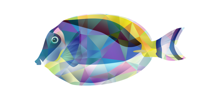 Busy Day Fish