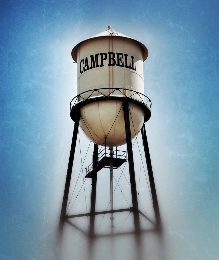 Campbell's Tuna Noodle Casserole