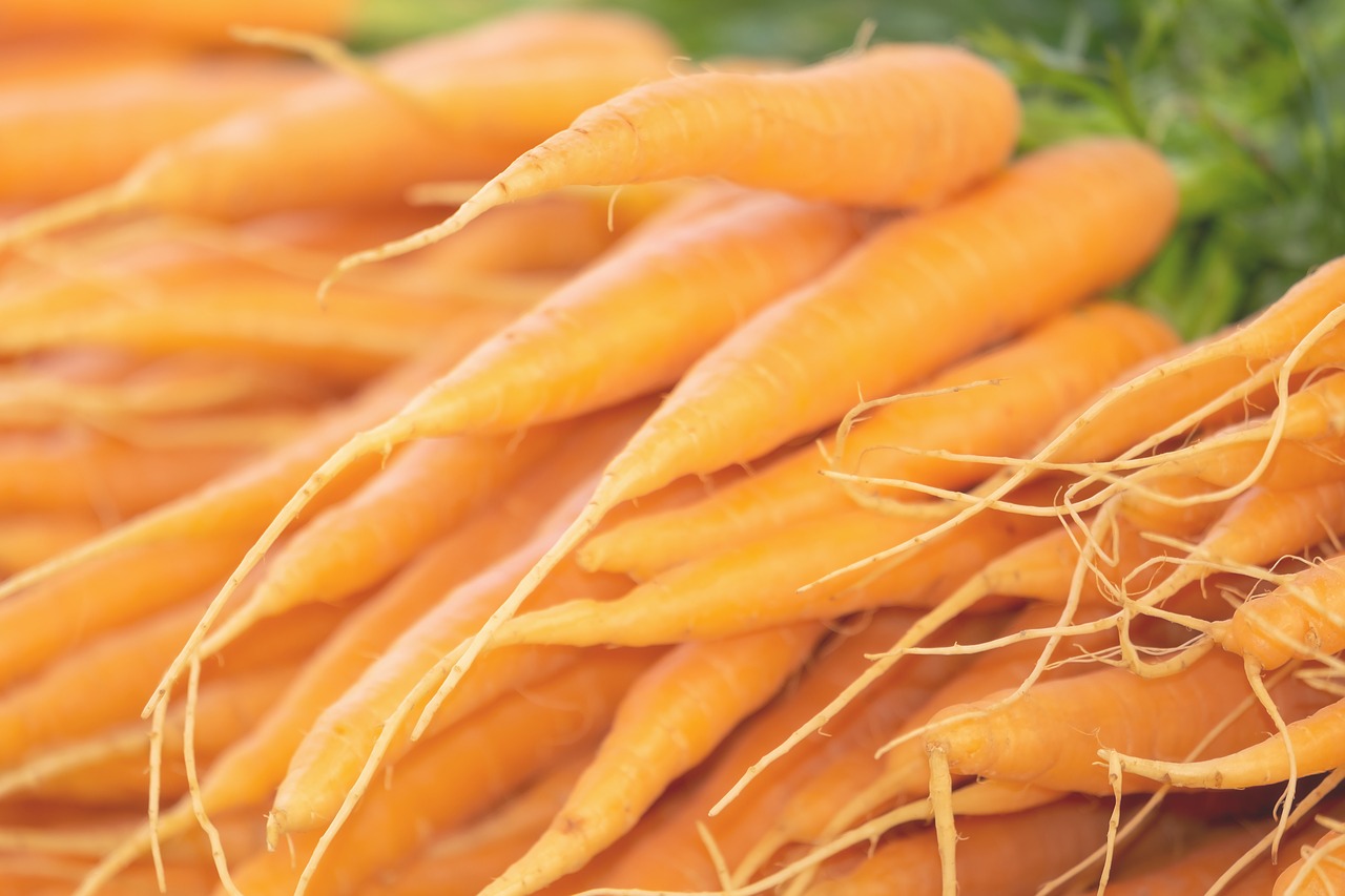 Carrots From A Garret