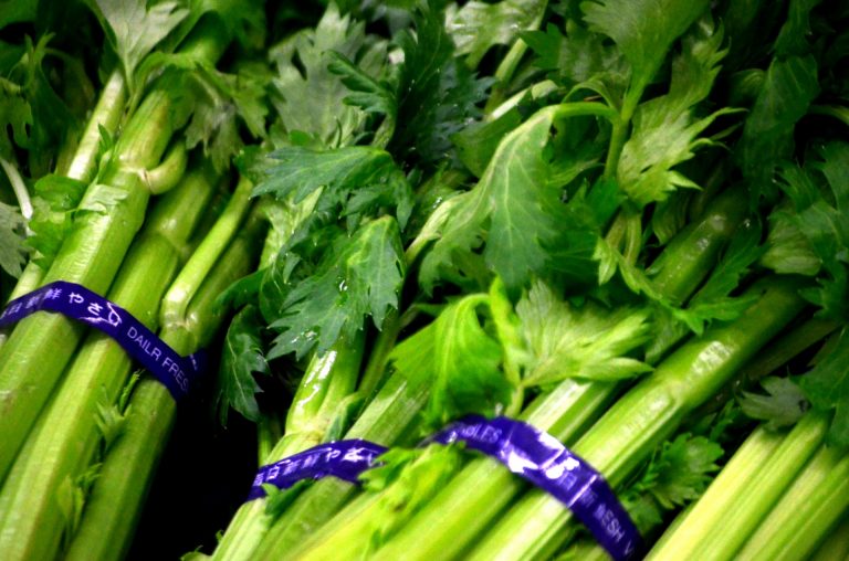 Celery Parmesan
