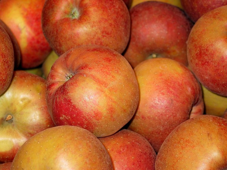 Classic Apple Haroset