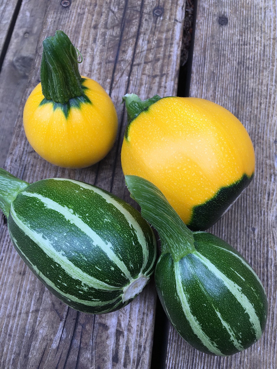 Cheesy Stuffed Summer Squash