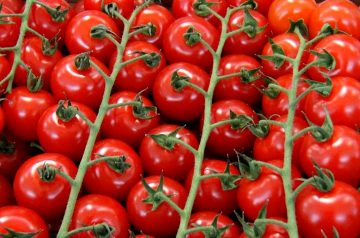 Broiled Mozzarella Tomatoes