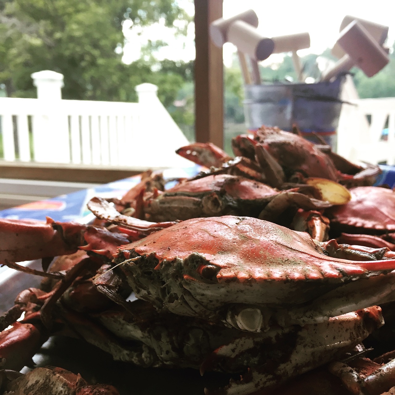 Chesapeake Crab Quiche