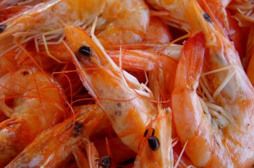 Chicken With Shrimp Scampi