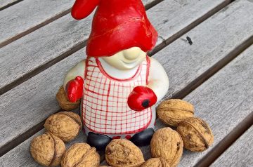 Swedish Nuts