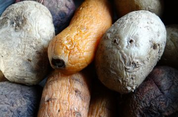 Colorful Coleslaw Vinaigrette
