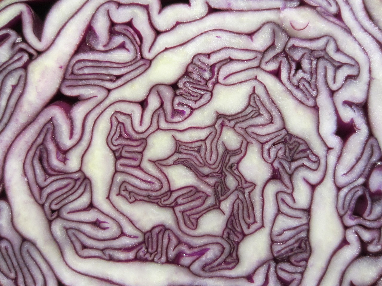 Colorful Red Cabbage Salad