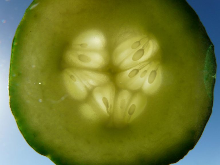 Cool Cucumber Salsa