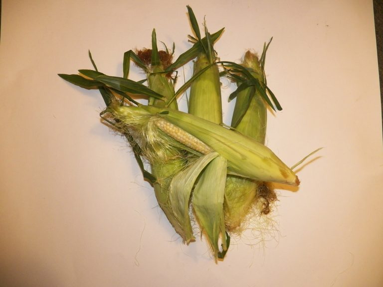 Asian-Style Edamame and Corn