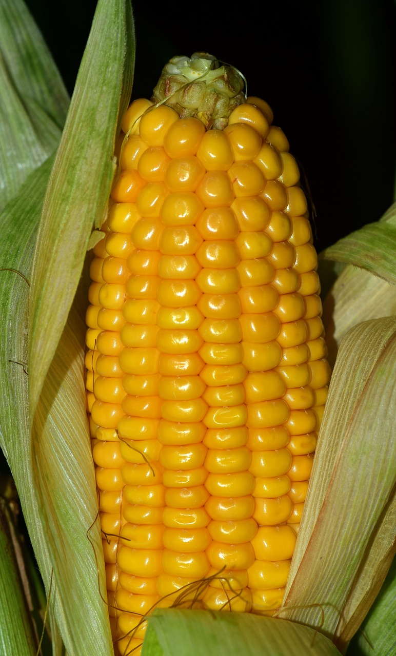 Creamy Grits With Sweet Corn