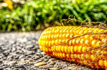 Ground Beef With Sweet Corn in Less Than 30 Minutes