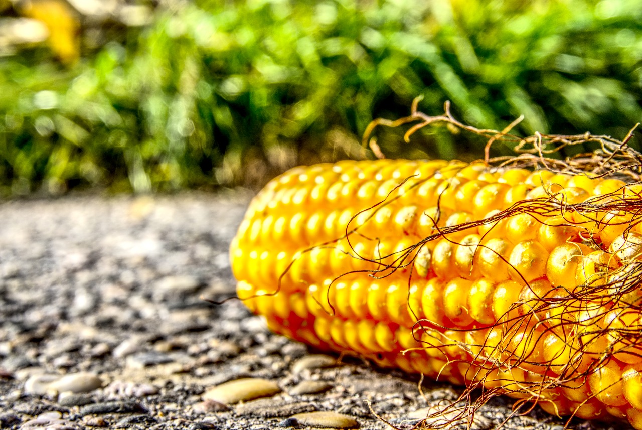 Ground Beef With Sweet Corn in Less Than 30 Minutes