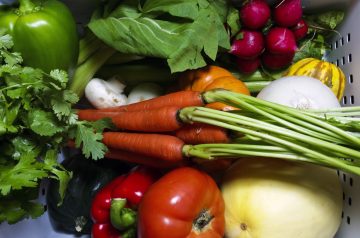 Corn Yellow Squash Medley