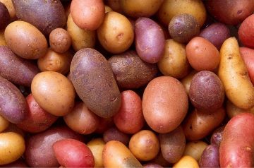 Country Taters