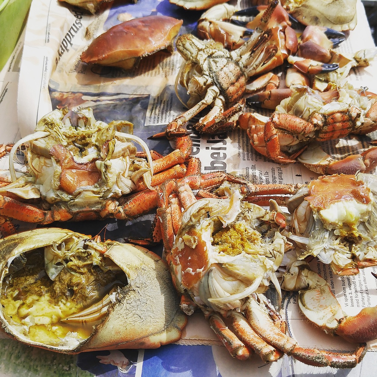 Crab Stuffed Shells