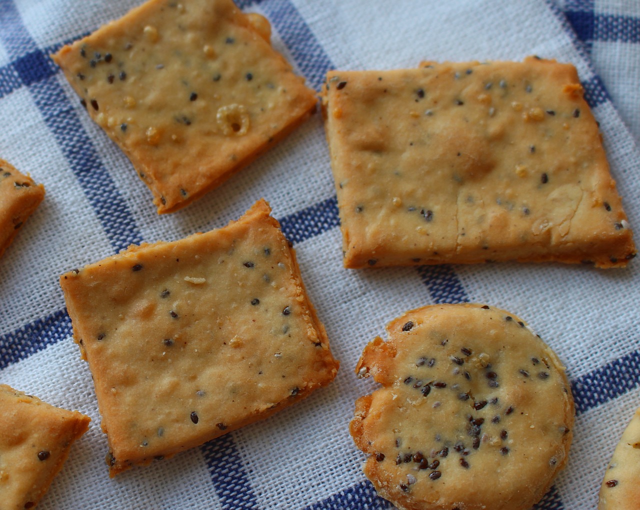 Crackers Just Like Saltines - Homemade