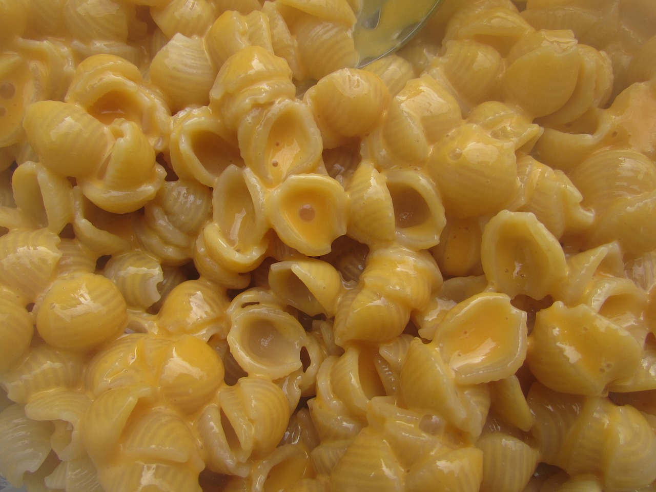 Creamy Macaroni and Cheese For One