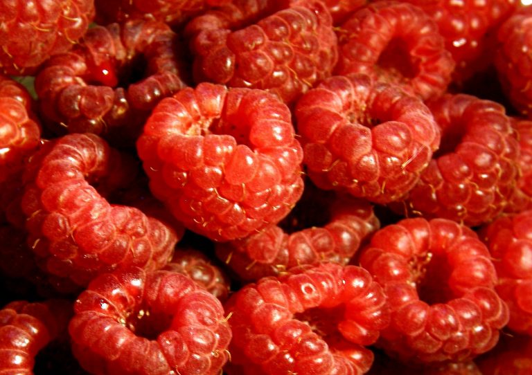 Creamy Raspberry Mallow Pie