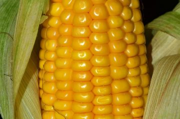 Delicious Country Corn
