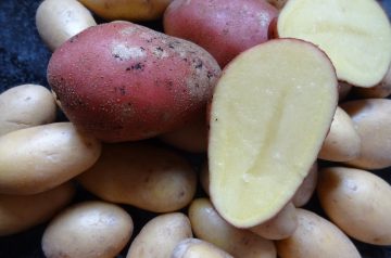 Dilled New Red Potatoes