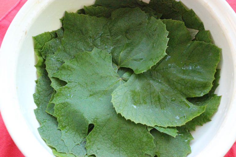 Dolmades