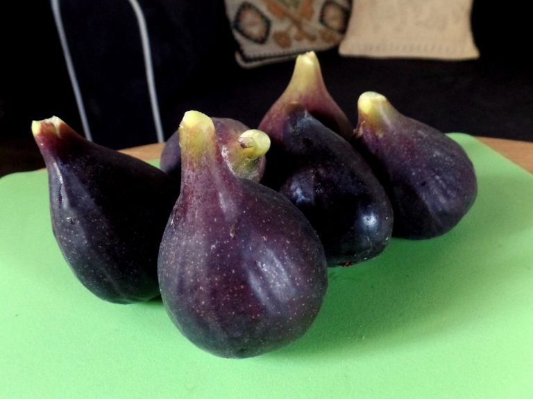 Roasted Figs With Prosciutto and Gorgonzola