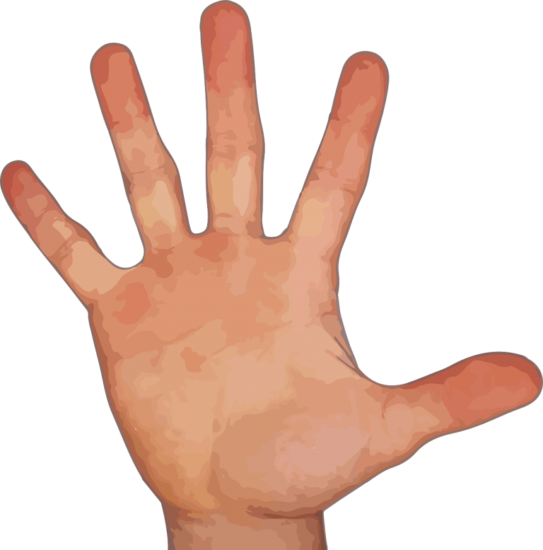 Finger Steak
