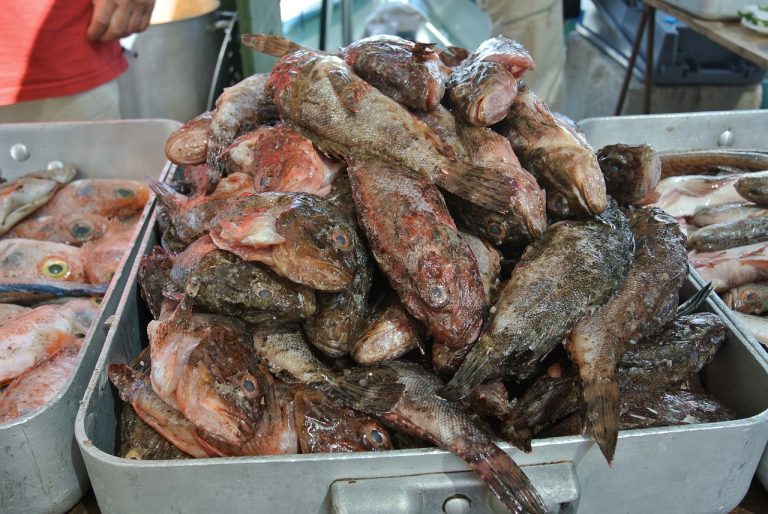 Bouillabaisse