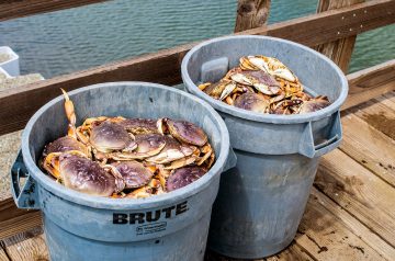 Watermelon Gazpacho With Dungeness Crab Salad